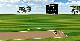 JUST BAT (VR CRICKET)