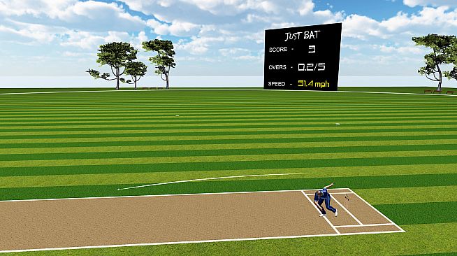 JUST BAT (VR CRICKET)