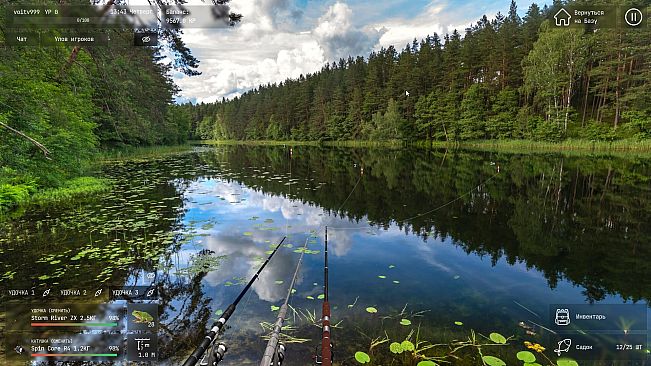 Live Fishing