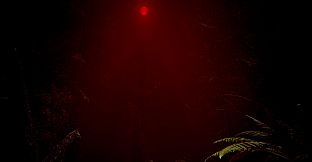 Red Light White Light