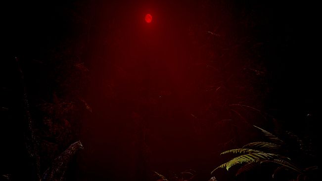 Red Light White Light