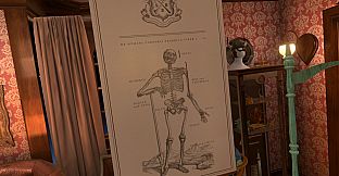 The Enlightened League of Bone Builders and the Osseous Enigma