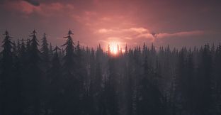 PROJECT D : Human Risen