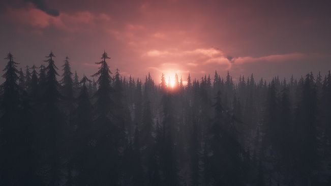 PROJECT D : Human Risen