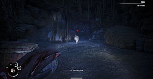 Winter Survival: Prologue