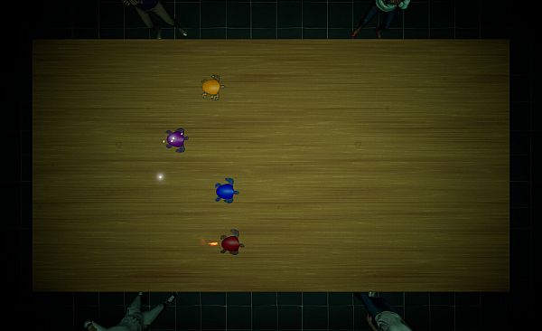 Underground Turtle Races