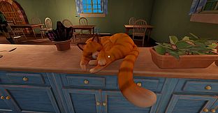 The Tidy TeaShop: Tidy Up the Tea Collection