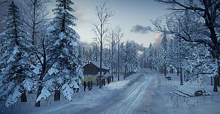 DiRT Rally 2.0 - Sweden (Rally Location)