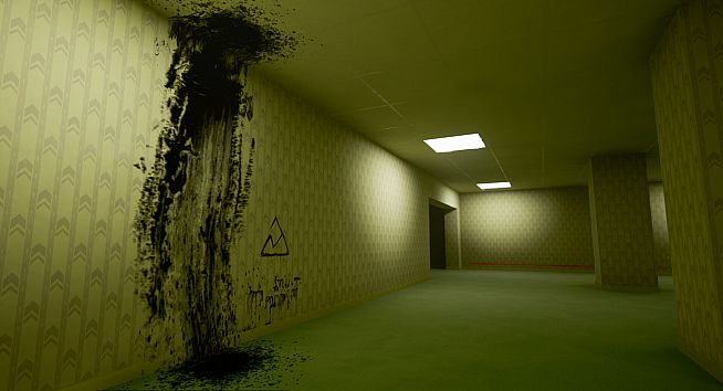 The Backrooms Footage