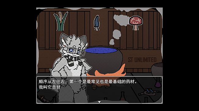 ST UNLIMITED