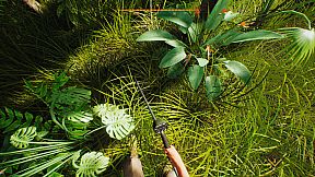 Treasure Hunter Simulator