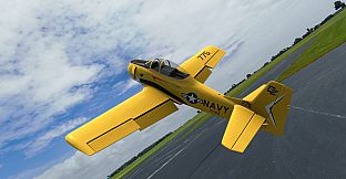 RealFlight Evolution - 2023 Year Content Pass