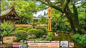 I Love Finding Cats! Collector's Edition