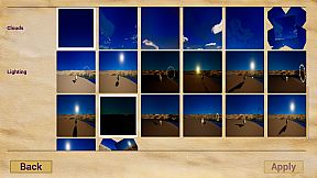 Unexpected Pigeon Race