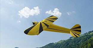 RealFlight Evolution – Hangar 9 Clipped-Wing Cub 10cc