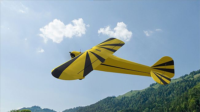 RealFlight Evolution – Hangar 9 Clipped-Wing Cub 10cc