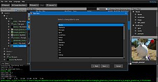 FINAL FANTASY XV WINDOWS EDITION MOD ORGANIZER