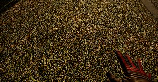 Touch Grass Together