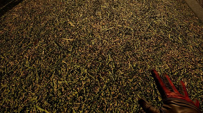 Touch Grass Together