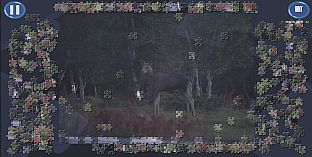 Virtual Jigsaw Puzzles - Animals
