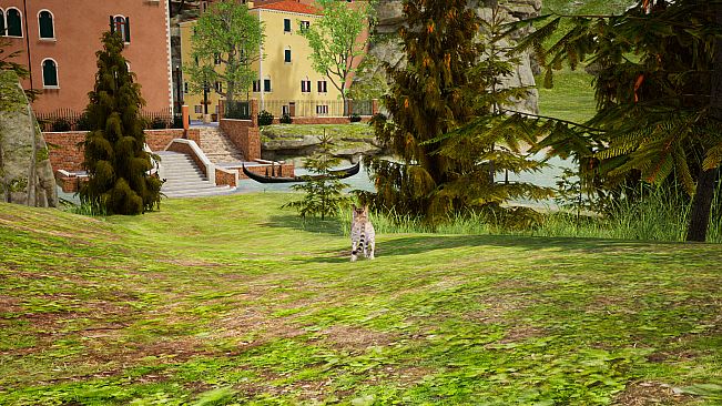 Curiosity: A Cat Climbing Game