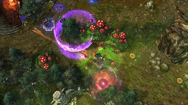 Prime Arena - Founder Pack