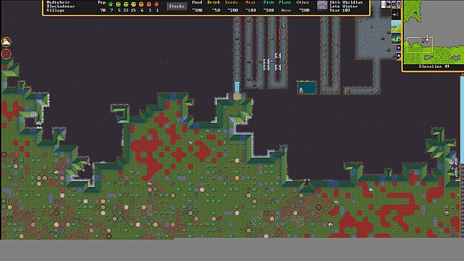 Dwarf Fortress