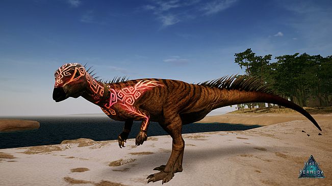 Beasts of Bermuda - Oryctodromeus Supporter Warpaint