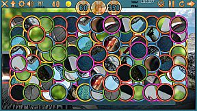 Clutter's Greatest Hits - Collector's Edition