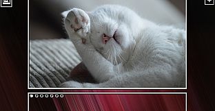 Super Jigsaw Puzzle: Generations - Kittens Puzzles