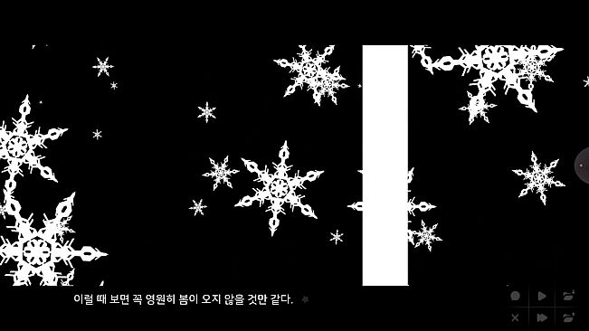 Flowers Blooming at the End of Summer