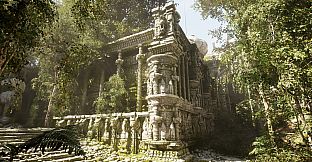 NextVisuals Benchmark Forest