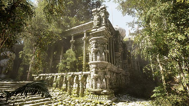 NextVisuals Benchmark Forest