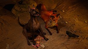 Quipu Runner: Warmi's Legacy