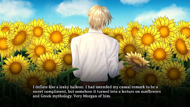 My Husband is a Stranger