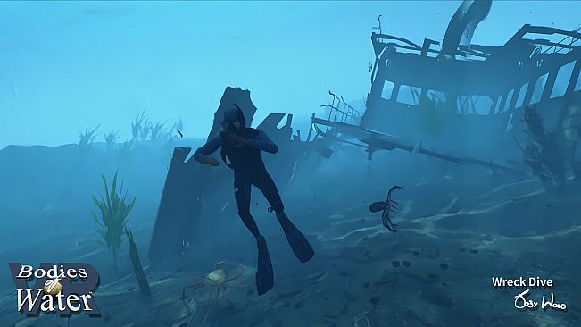 Bodies of Water VR