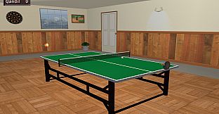 Table Tennis Pro