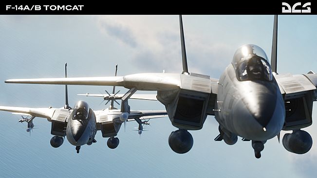 DCS: F-14A/B Tomcat by Heatblur Simulations
