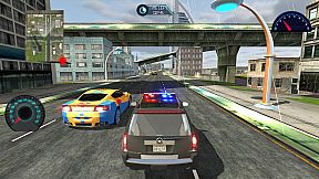 Criminal Pursuit Force