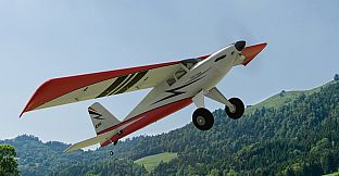 RealFlight Evolution - E-flite Turbo Timber SWS 2.0m