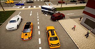 Cash Guardian: Collector Operation "Capital Defense"