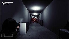 Anomalous Zone ███