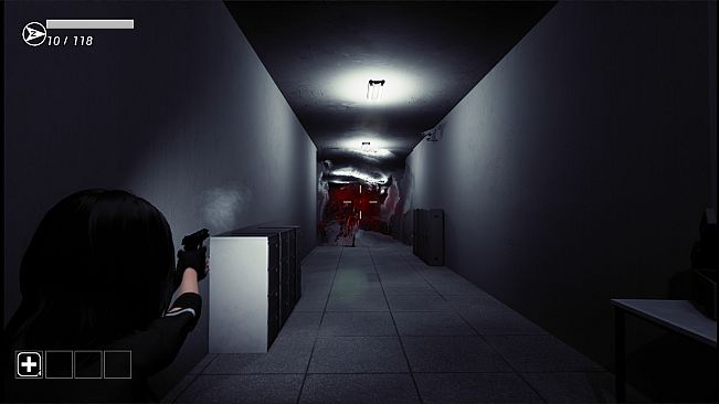 Anomalous Zone ███