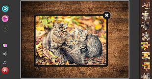 Cat's Life Jigsaw Puzzles