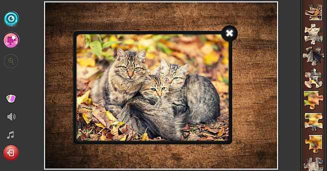Cat's Life Jigsaw Puzzles