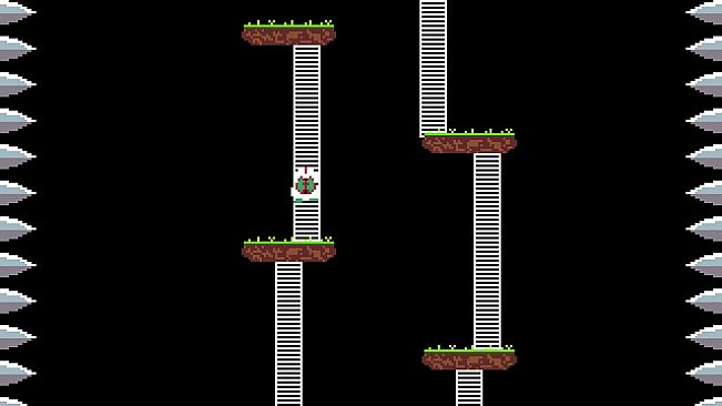 The Tower Of TigerQiuQiu Ladder