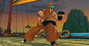 USFIV: Arcade Challengers Wild Pack