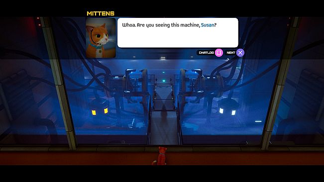 Schrodinger's Cat Burglar