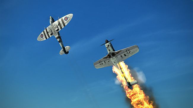 IL-2 Sturmovik: Fw 190 D-9 Collector Plane