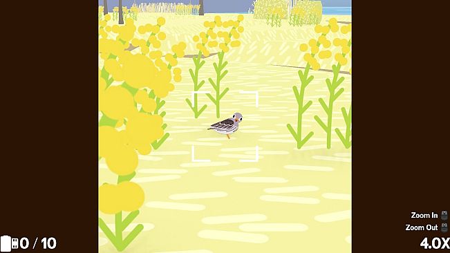 Flock Around - Cardinal Cove Expansion Pack